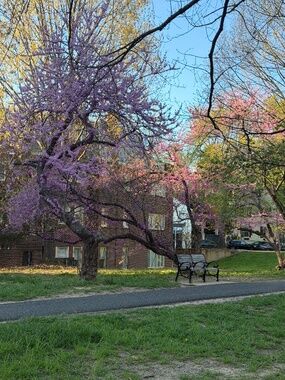 Meet your Posher, Cara